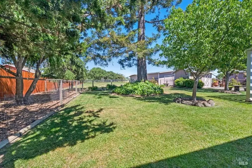 Backyard lawn with mature trees and shed